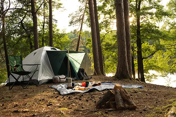 Soluzioni di alloggio e servizi per ogni viaggiatore
